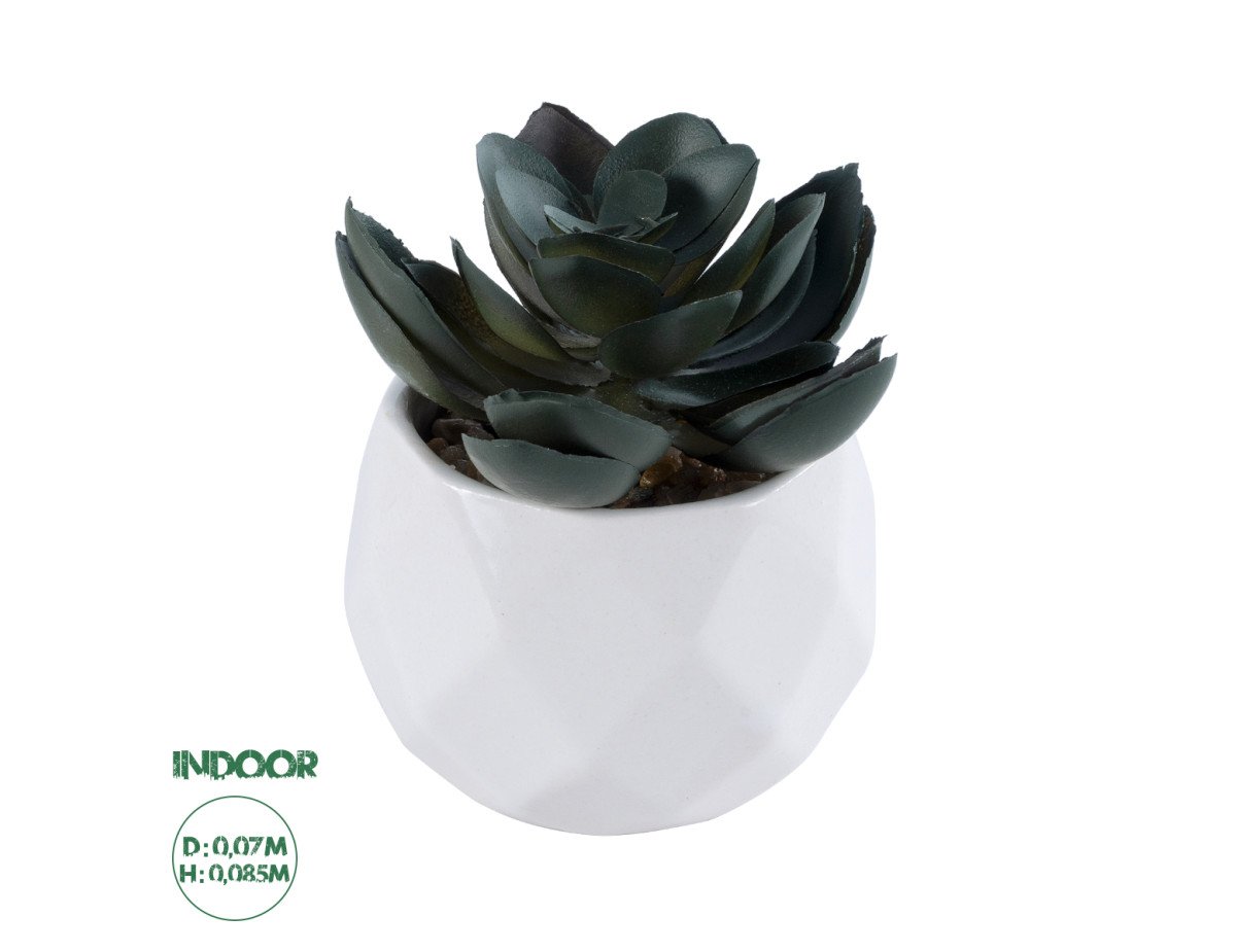 GloboStar® Artificial Garden SUCCULENT ECHEVERIA 20990 Διακοσμητικό Φυτό Παχύφυτο Εχεβέρια Υ8.5cm