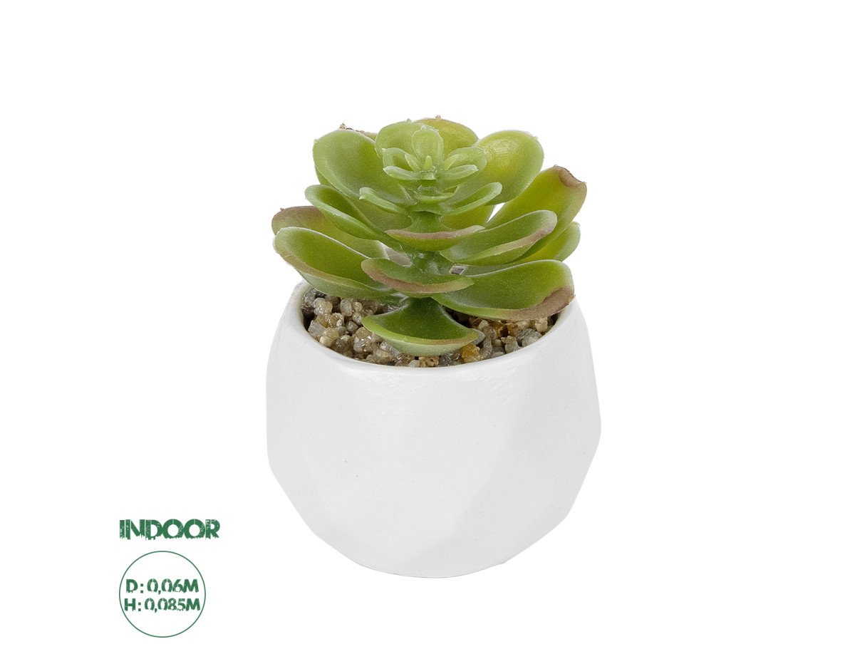 GloboStar® Artificial Garden SUCCULENT ECHEVERIA POTTED PLANT 20991 Διακοσμητικό Φυτό Εχεβέρια Φ6 x Υ8,5cm