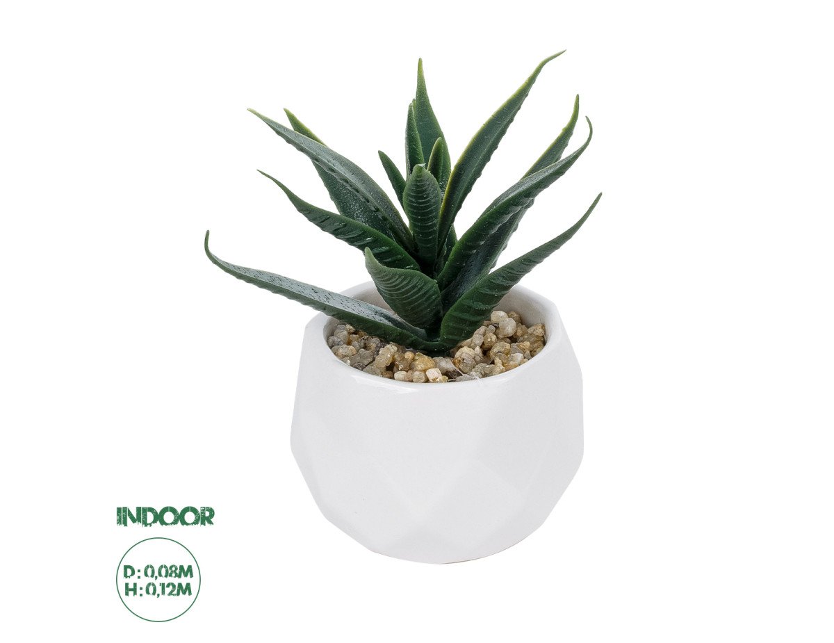 GloboStar® Artificial Garden SUCCULENT ALOE POTTED PLANT 20992 Διακοσμητικό Φυτό Αλόη Φ8 x Υ12cm