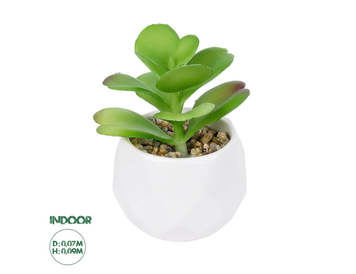 GloboStar® Artificial Garden SUCCULENT KALANCHOE POTTED PLANT 20995 Διακοσμητικό Φυτό Καλαχόη  Φ8 x Υ10cm