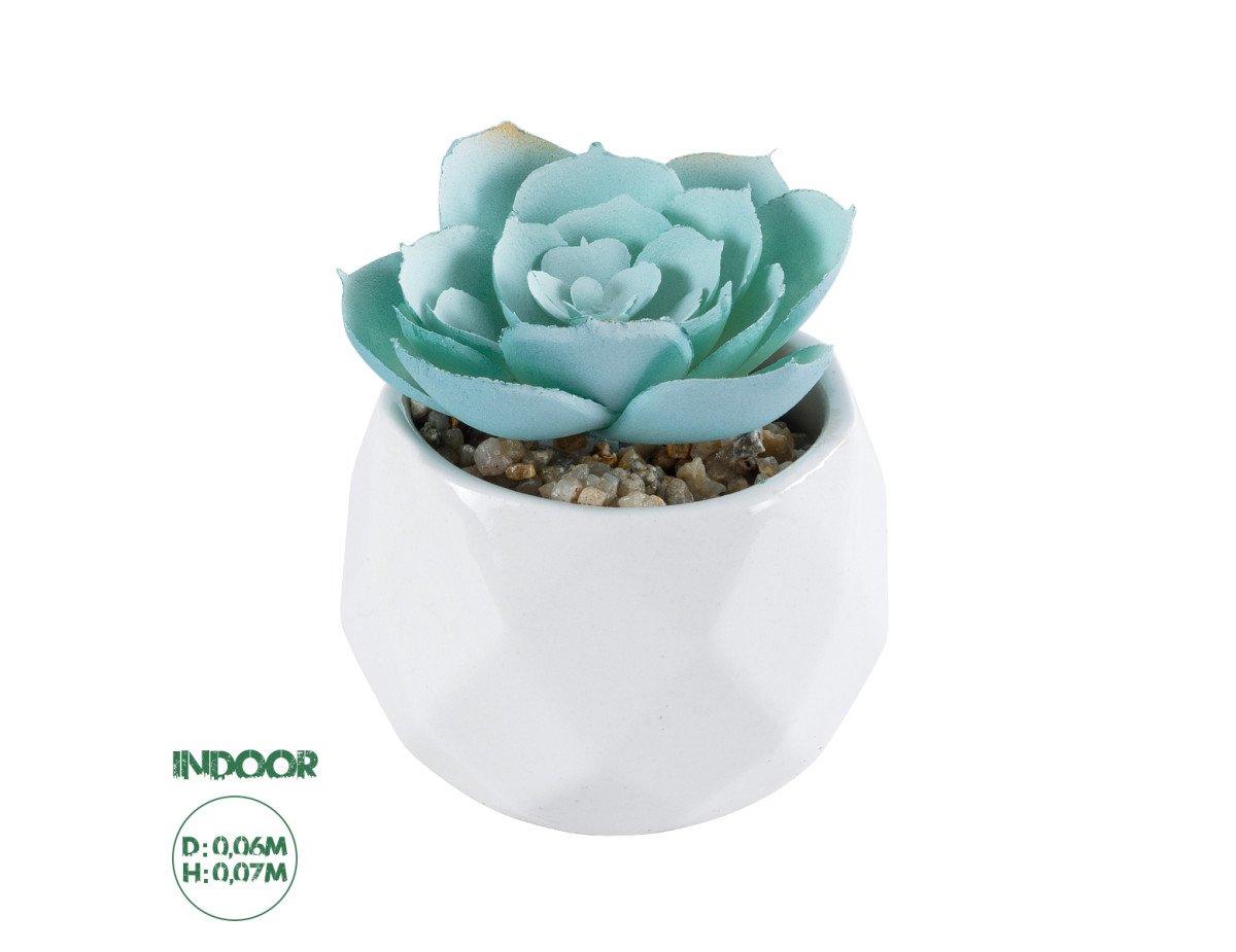 GloboStar® Artificial Garden SUCCULENT ECHEVERIA 20996 Διακοσμητικό Φυτό Παχύφυτο Εχεβέρια Υ7cm