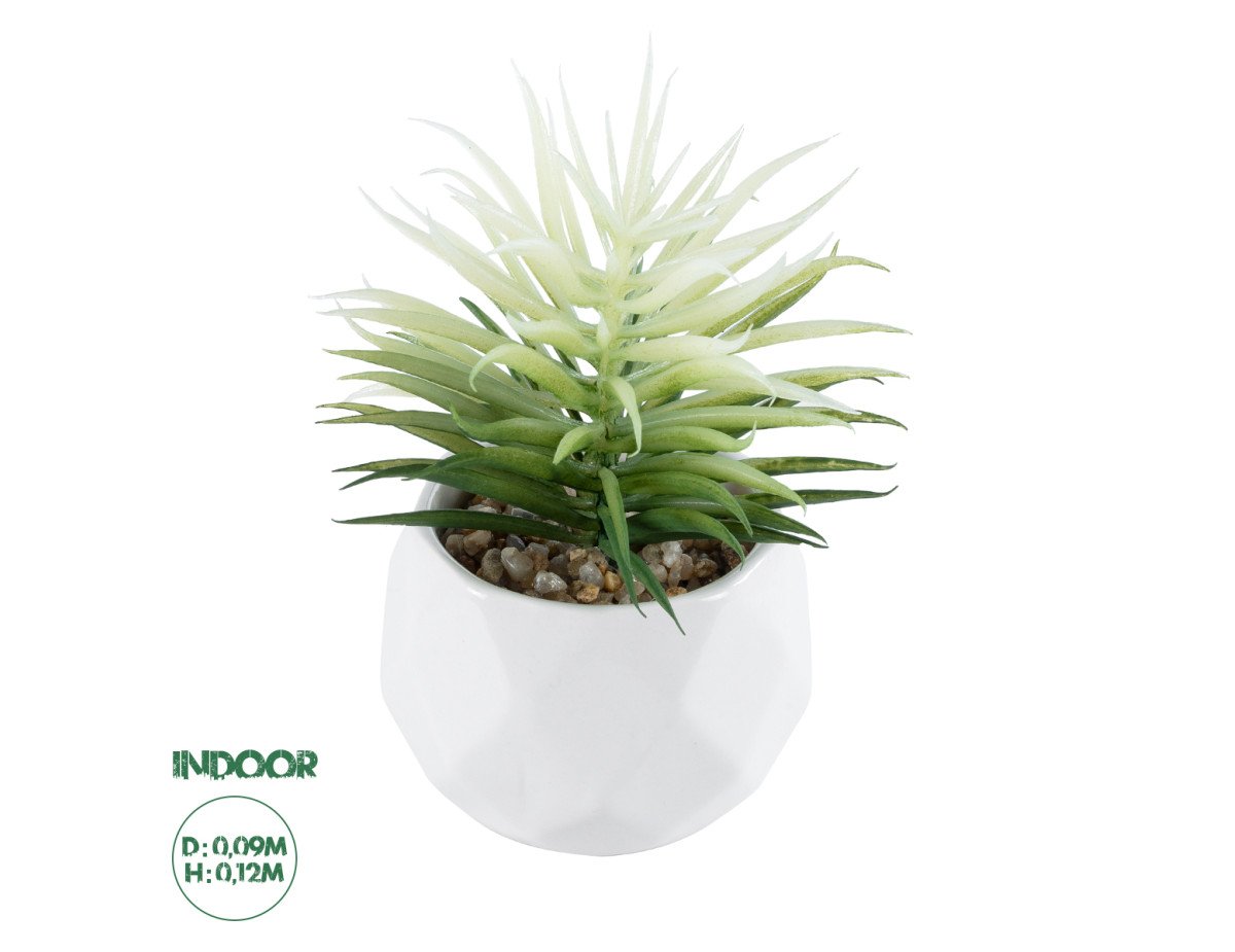 GloboStar® Artificial Garden SUCCULENT SENECIO 20997 Διακοσμητικό Φυτό Παχύφυτο Σενέκιο Υ12cm