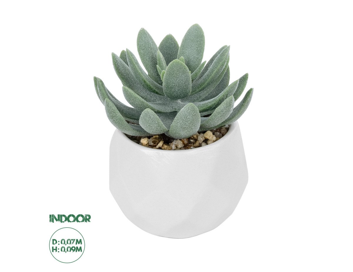 GloboStar® Artificial Garden SUCCULENT SEDEVERIA POTTED PLANT 20998 Διακοσμητικό Φυτό Σεδεβέρια  Φ7 x Υ9cm