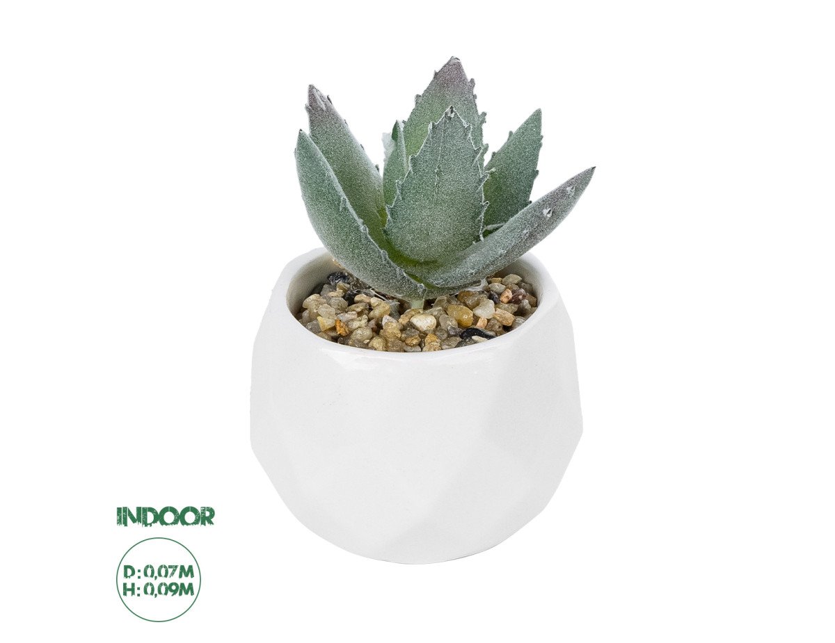 GloboStar® Artificial Garden SUCCULENT ALOE POTTED PLANT 20999 Διακοσμητικό Φυτό Αλόη  Φ7 x Υ9cm