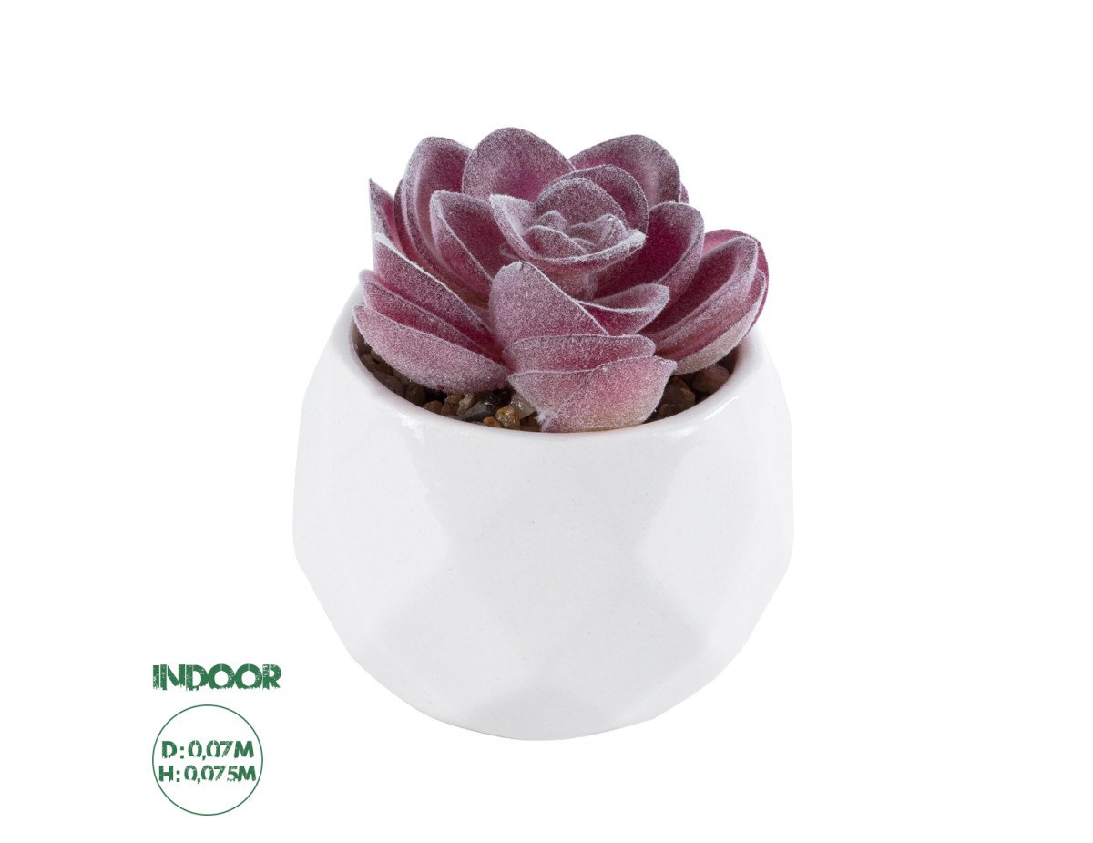 GloboStar® Artificial Garden SUCCULENT ECHEVERIA 21000 Διακοσμητικό Φυτό Παχύφυτο Εχεβέρια Υ7.5cm