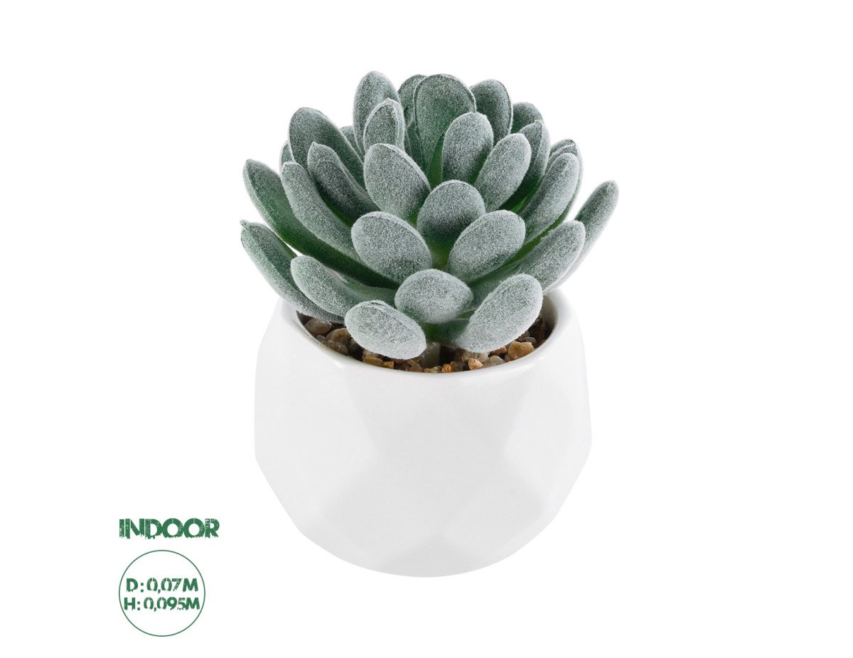 GloboStar® Artificial Garden SUCCULENT SEDEVERIA 21001 Διακοσμητικό Φυτό Παχύφυτο Σεντεβέρια Υ9.5cm