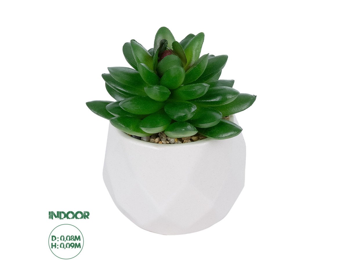 GloboStar® Artificial Garden SUCCULENT SEDEVERIA POTTED PLANT 21002 Διακοσμητικό Φυτό Σεδεβέρια  Φ8 x Υ9cm