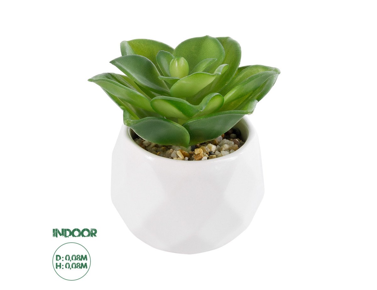 GloboStar® Artificial Garden SUCCULENT ECHEVERIA 21003 Διακοσμητικό Φυτό Παχύφυτο Εχεβέρια Υ8cm