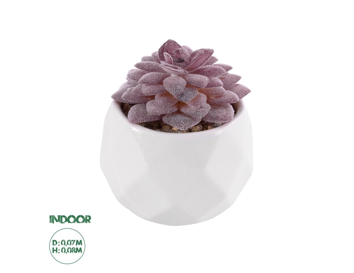 GloboStar® Artificial Garden SUCCULENT SEDEVERIA 21005 Διακοσμητικό Φυτό Παχύφυτο Σεντεβέρια Υ8cm