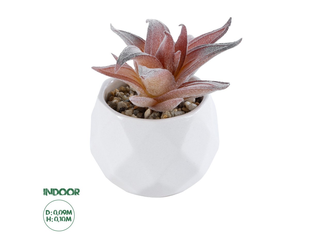 GloboStar® Artificial Garden SUCCULENT ALOE 21006 Διακοσμητικό Φυτό Παχύφυτο Αλόη Υ10cm