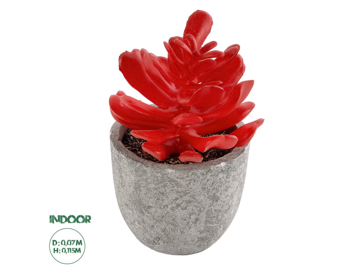 GloboStar® Artificial Garden SUCCULENT CRASSULA 21013 Διακοσμητικό Φυτό Παχύφυτο Κράσουλα Υ11.5cm