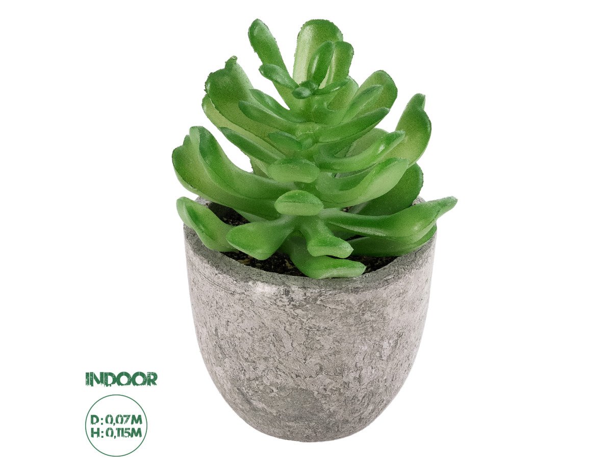 GloboStar® Artificial Garden SUCCULENT CRASSULA 21014 Διακοσμητικό Φυτό Παχύφυτο Κράσουλα Υ11.5cm