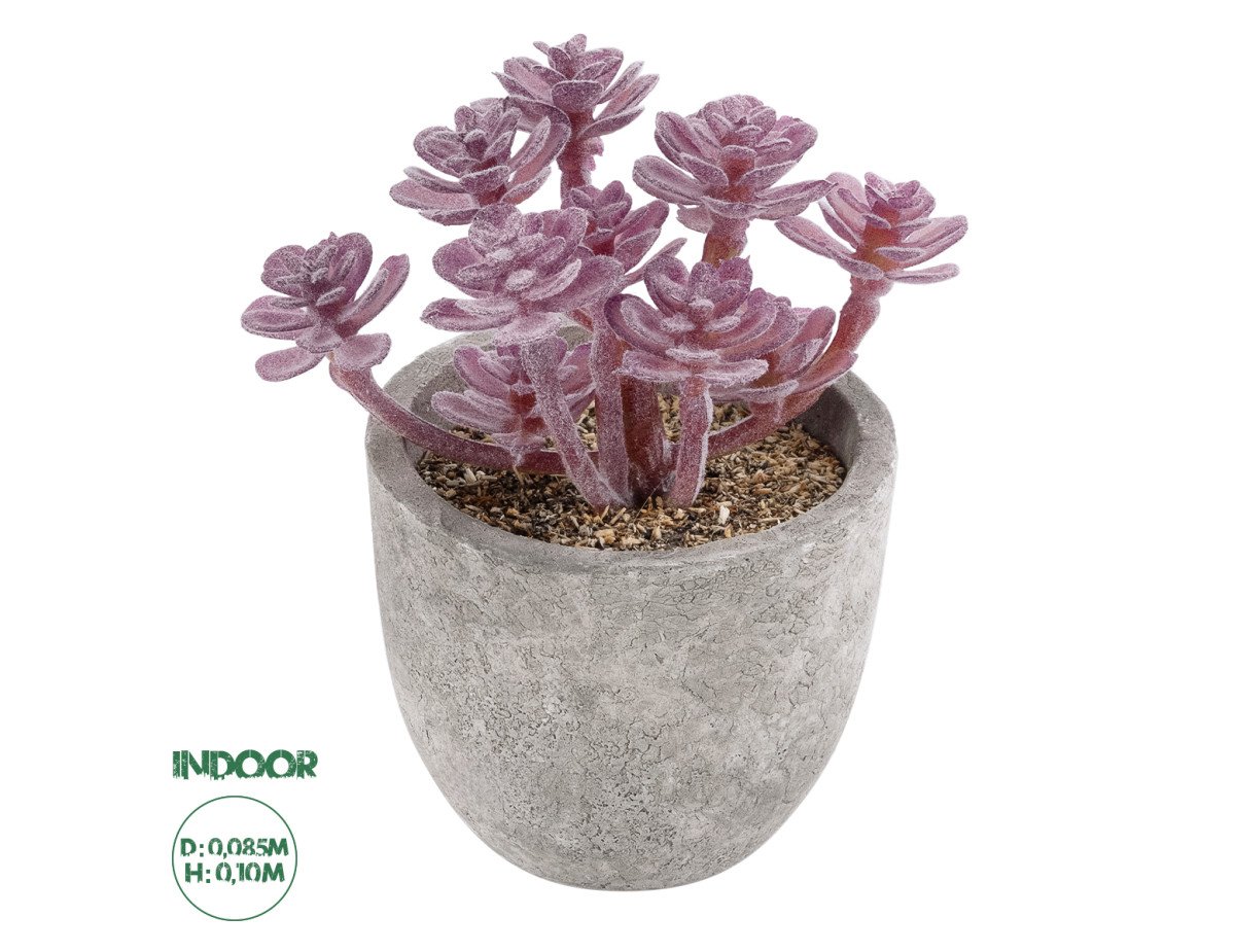 GloboStar® Artificial Garden SUCCULENT SEDUM 21017 Διακοσμητικό Φυτό Παχύφυτο Σέδο Υ10cm