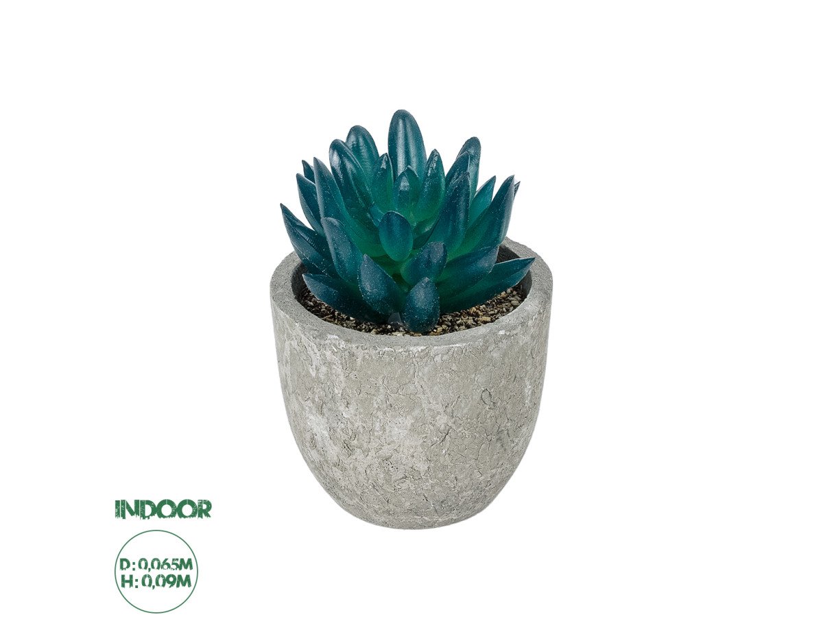 GloboStar® Artificial Garden SUCCULENT SEDEVERIA POTTED PLANT 21018 Διακοσμητικό Φυτό Σεδεβέρια  Φ6,5 x Υ9cm