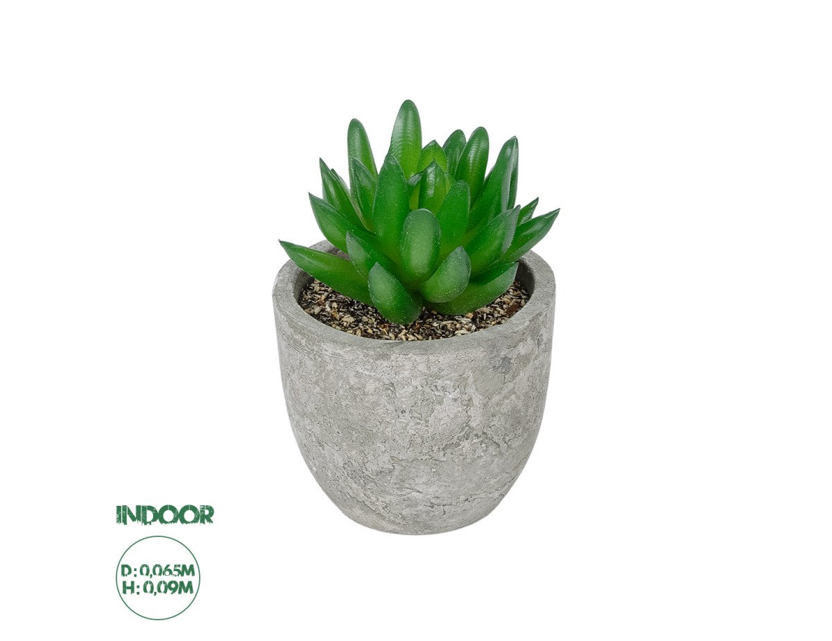 GloboStar® Artificial Garden SUCCULENT SEDEVERIA POTTED PLANT 21019 Διακοσμητικό Φυτό Σεδεβέρια  Φ6,5 x Υ9cm