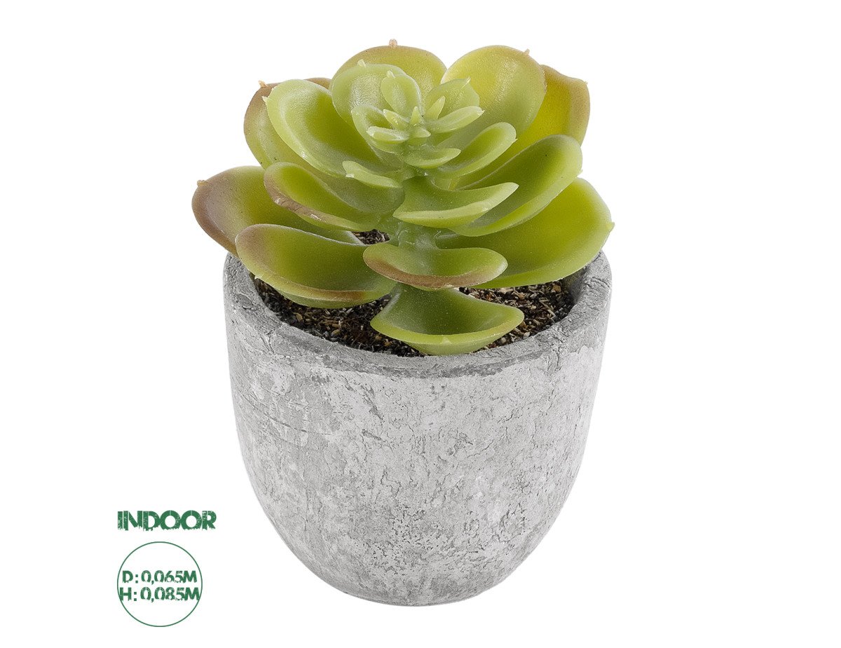 GloboStar® Artificial Garden SUCCULENT SEDEVERIA 21021 Διακοσμητικό Φυτό Παχύφυτο Σεντεβέρια Υ8.5cm