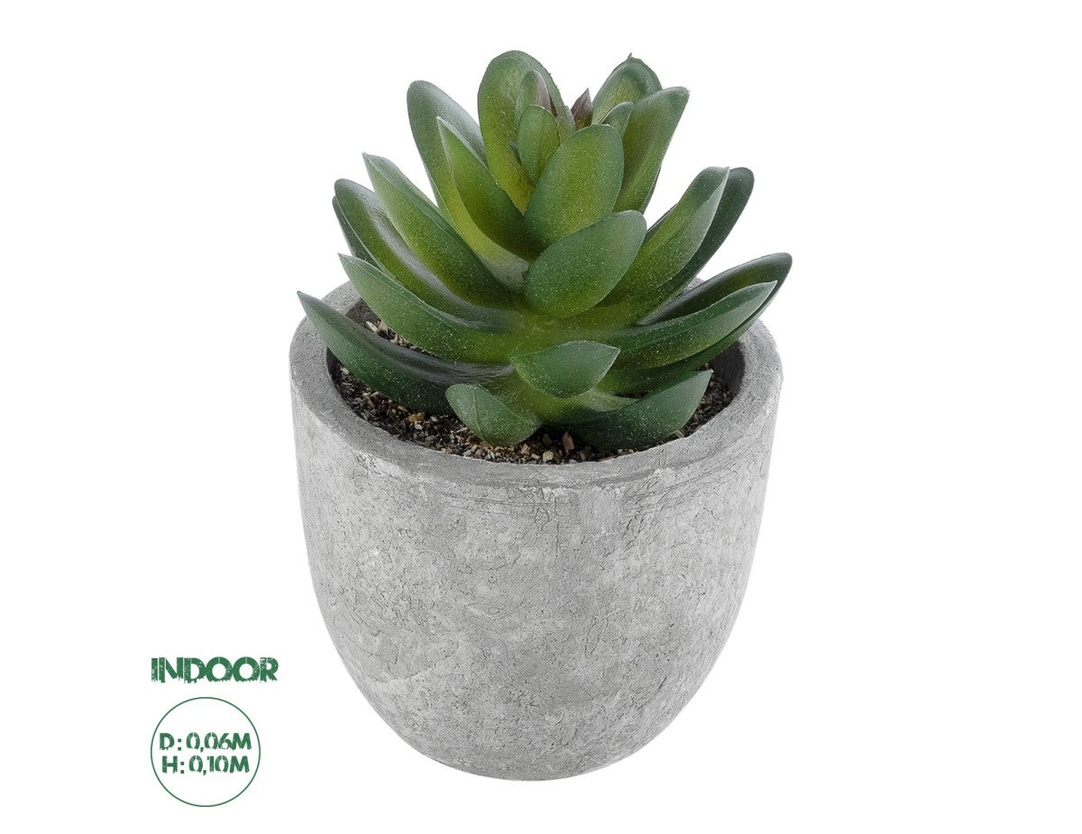 GloboStar® Artificial Garden SUCCULENT SEDEVERIA 21023 Διακοσμητικό Φυτό Παχύφυτο Σεντεβέρια Υ10cm