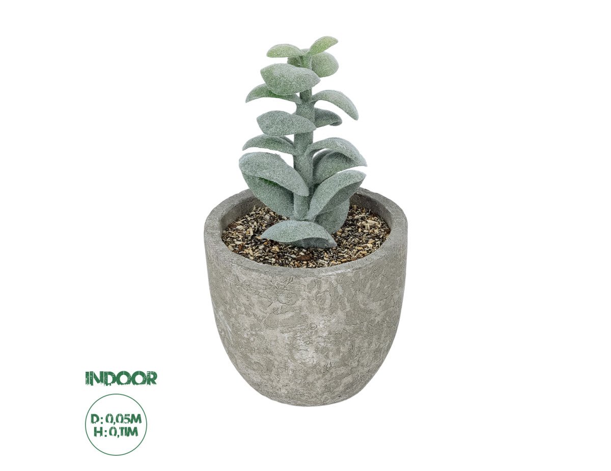 GloboStar® Artificial Garden SUCCULENT SEDEVERIA POTTED PLANT 21027 Διακοσμητικό Φυτό Σεδεβέρια  Φ5 x Υ11cm