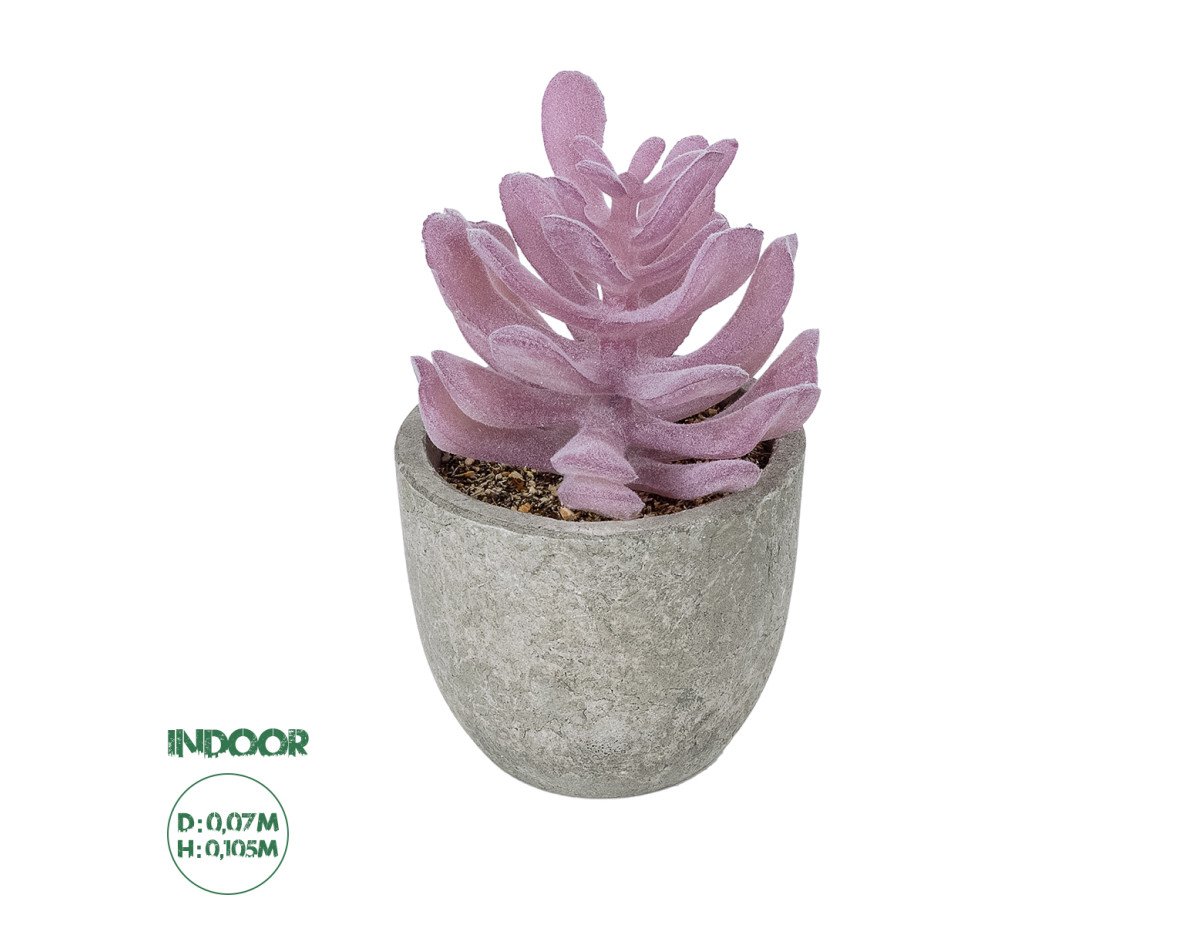 GloboStar® Artificial Garden SUCCULENT CRASSULA POTTED PLANT 21029 Διακοσμητικό Φυτό Κρασούλα  Φ7 x Υ10,5cm