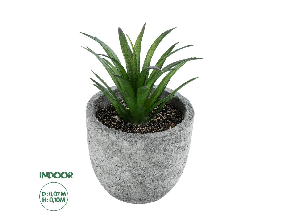 GloboStar® Artificial Garden SUCCULENT ALOE 21030 Διακοσμητικό Φυτό Παχύφυτο Αλόη Υ10cm