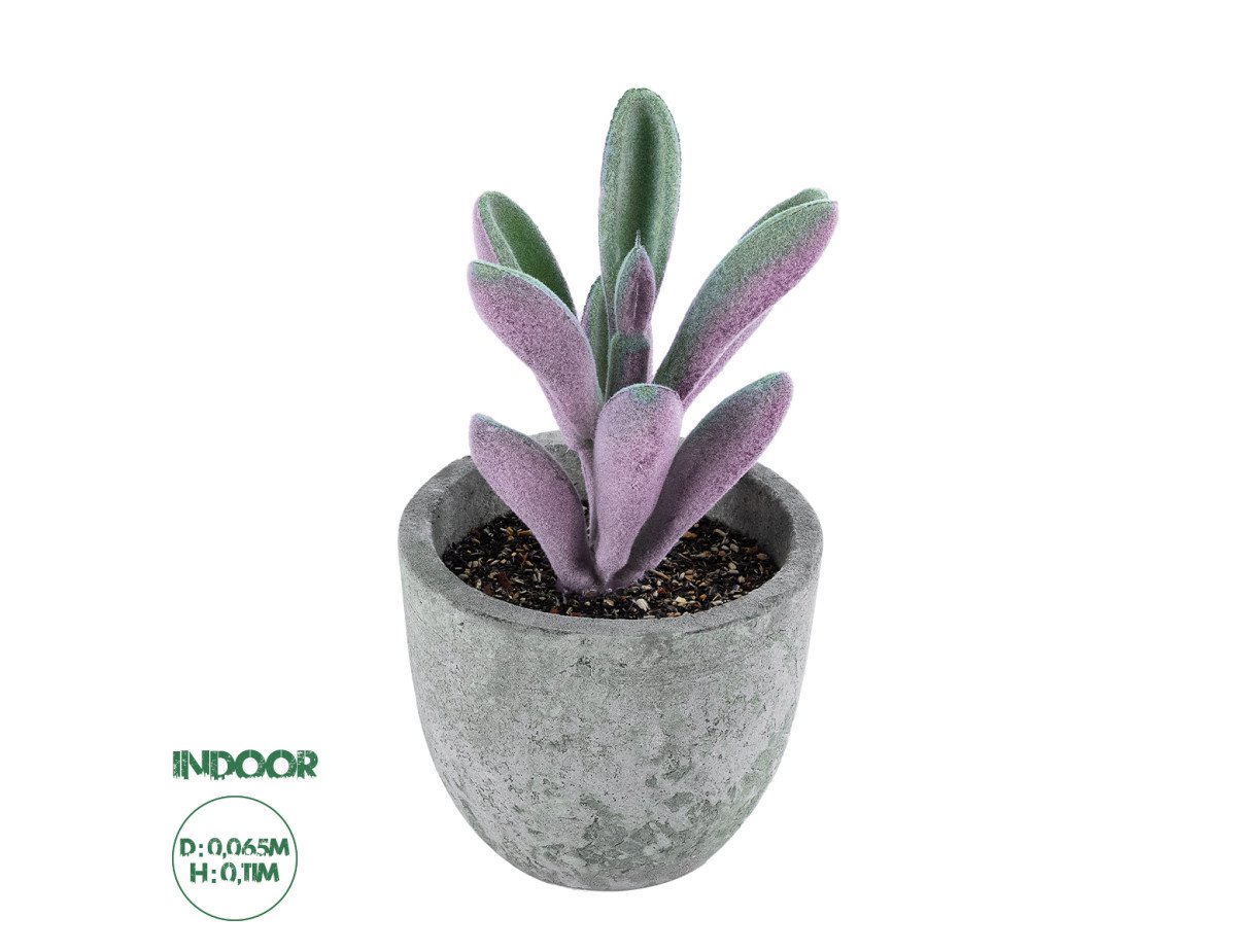 GloboStar® Artificial Garden SUCCULENT CRASULLA 21031 Διακοσμητικό Φυτό Παχύφυτο Κράσουλα Υ11cm