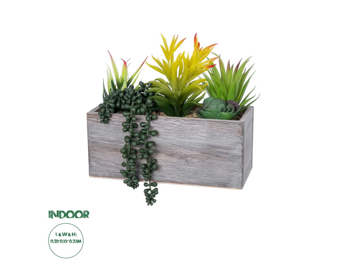 GloboStar® Artificial Garden SUCCULENT VARIUS PLANT POTTED 21034 Διακοσμητικό Φυτό Μίξ Μ23 x Π13 x Υ23cm