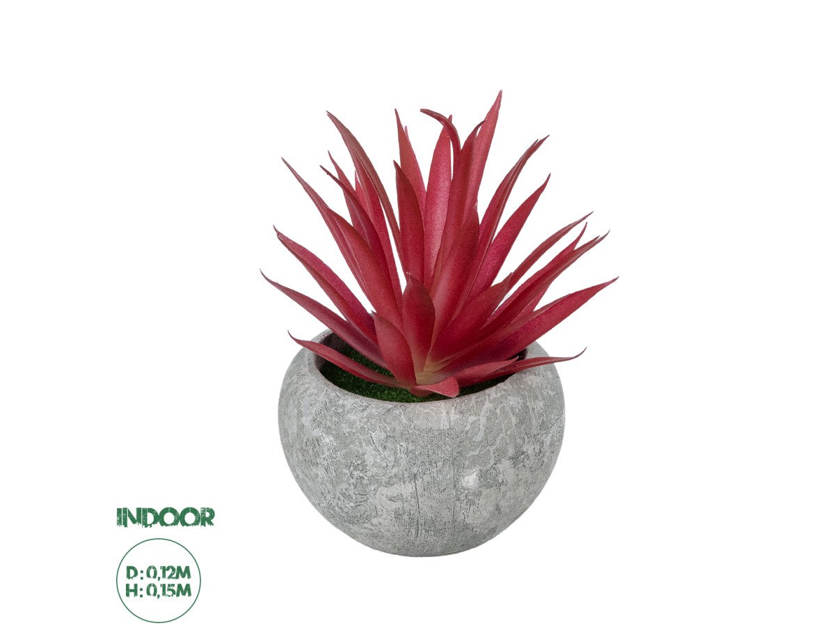 GloboStar® Artificial Garden AIR PLANT TILLANDSIA POTTED PLANT 21035 Διακοσμητικό Φυτό Τιλάντσια Φ12 x Υ15cm