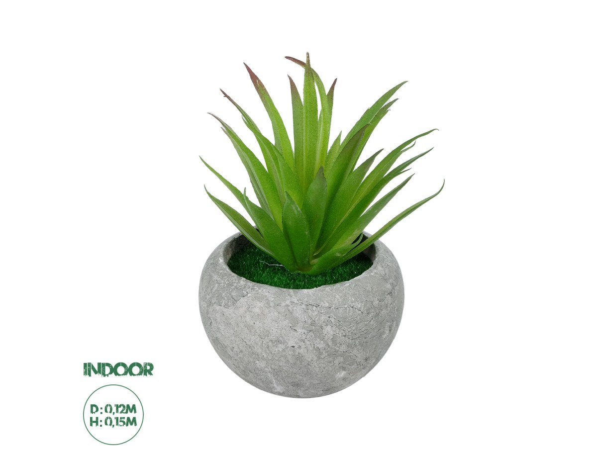 GloboStar® Artificial Garden AIR PLANT TILLANDSIA POTTED PLANT 21036 Διακοσμητικό Φυτό Τιλάντσια Φ12 x Υ15cm