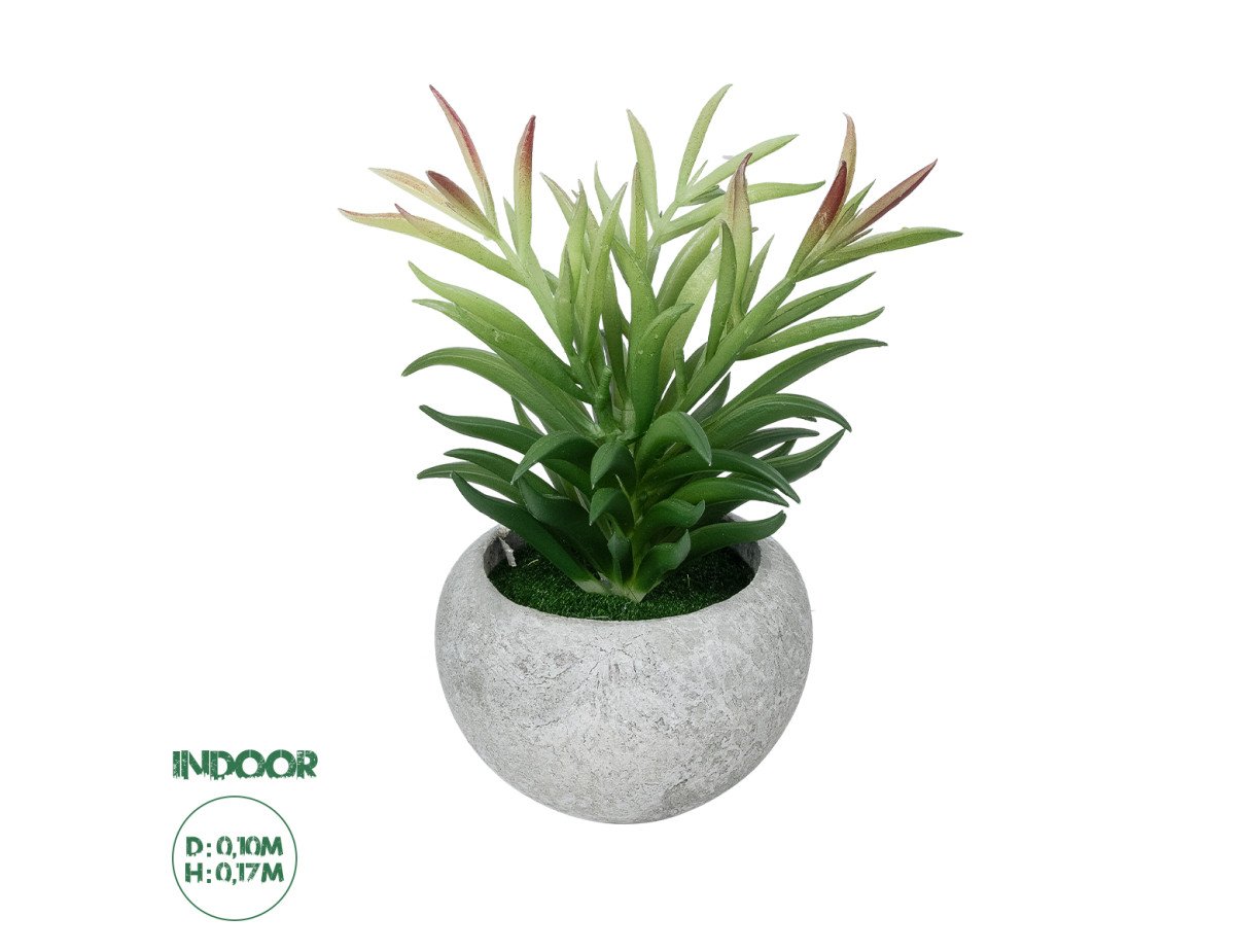 GloboStar® Artificial Garden SUCCULENT CRASSULA POTTED PLANT 21038 Διακοσμητικό Φυτό Κρασούλα  Φ10 x Υ17cm