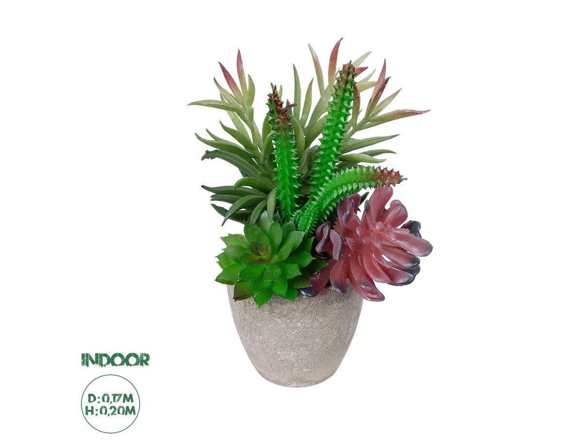 GloboStar® Artificial Garden SUCCULENT VARIUS PLANT POTTED 21039 Διακοσμητικό Φυτό Μίξ Μ17 x Υ20cm