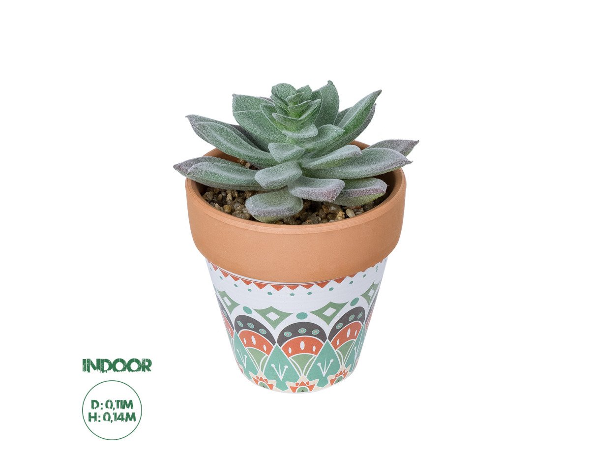 GloboStar® Artificial Garden SUCCULENT SEDEVERIA POTTED PLANT 21041 Διακοσμητικό Φυτό Σεδεβέρια  Φ11x Υ14cm