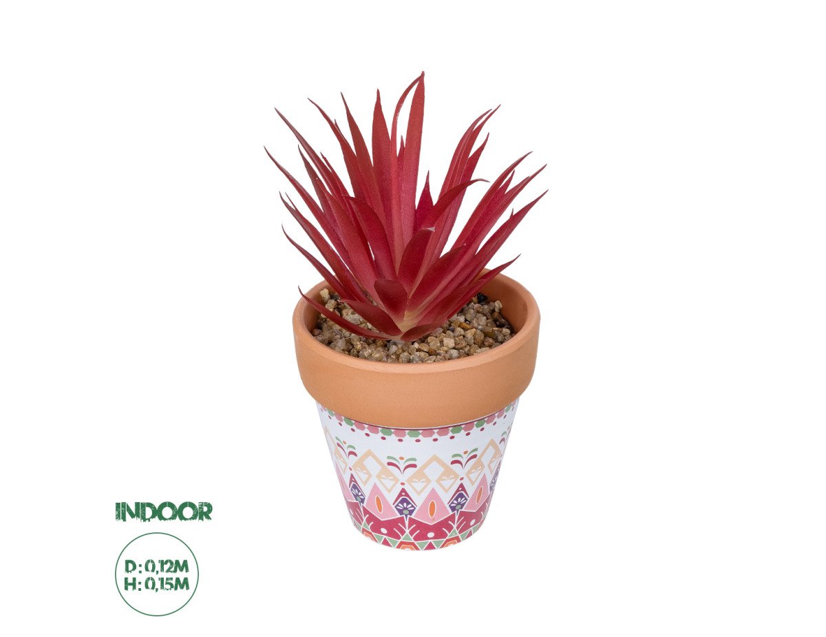 GloboStar® Artificial Garden AIR PLANT NEOPHYTUM POTTED PLANT 21042 Διακοσμητικό Φυτό Νεόφυτο Φ12 x Υ15cm