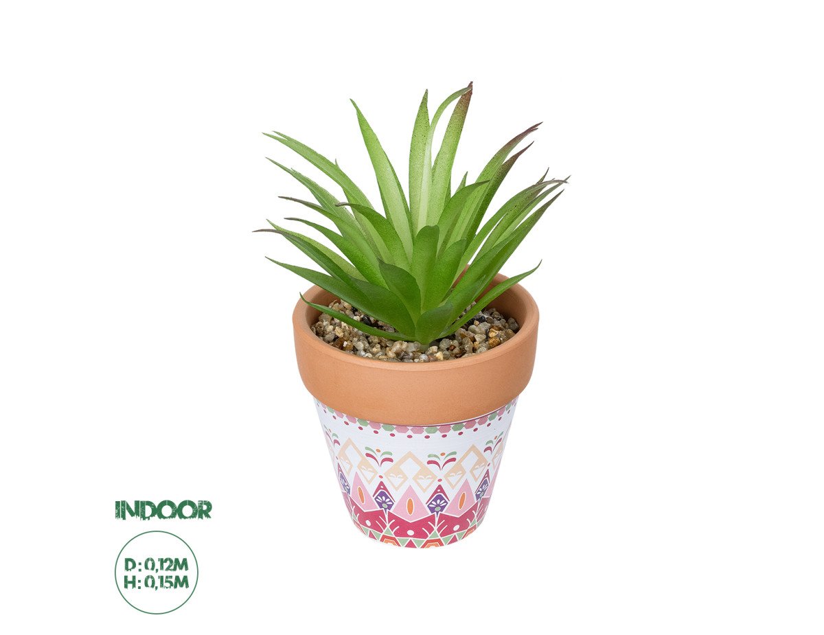 GloboStar® Artificial Garden AIR PLANT NEOPHYTUM POTTED PLANT 21043 Διακοσμητικό Φυτό Νεόφυτο Φ12 x Υ15cm