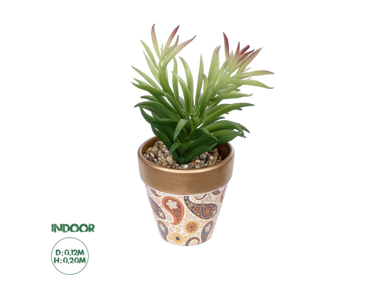 GloboStar® Artificial Garden SUCCULENT CRASSULA POTTED PLANT 21046 Διακοσμητικό Φυτό Κρασούλα  Φ12 x Υ20cm