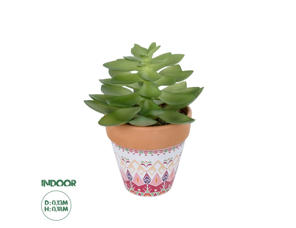 GloboStar® Artificial Garden SUCCULENT ECHEVERIA POTTED PLANT 21048 Διακοσμητικό Φυτό Εχεβέρια Φ13 x Υ18cm