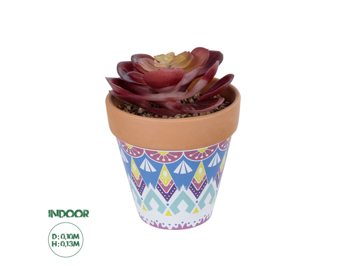 GloboStar® Artificial Garden SUCCULENT ECHEVERIA POTTED PLANT 21050 Διακοσμητικό Φυτό Εχεβέρια Φ10 x Υ13cm