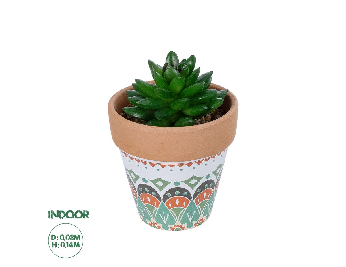 GloboStar® Artificial Garden SUCCULENT SANSEVIERIA POTTED PLANT 21051 Διακοσμητικό Φυτό Σανσεβιέρια  Φ8x Υ14cm