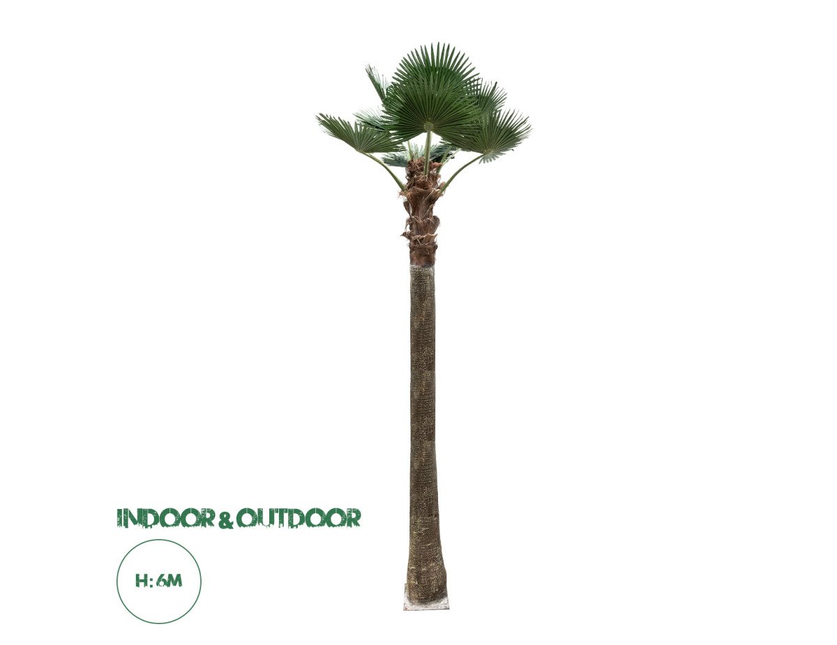 GloboStar® Artificial Garden PLANT PALM TREE 21057 Διακοσμητικό Δέντρο Φοίνικα  Φ240 x Υ600cm