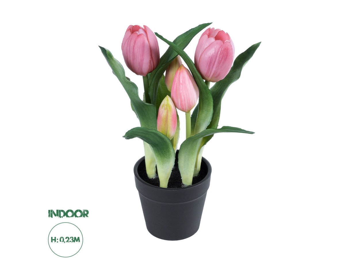 GloboStar® Artificial Garden PINK TULIP 21092 Διακοσμητικό Φυτό Ροζ Τουλίπα Υ23cm