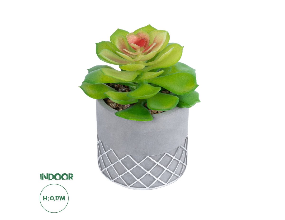 GloboStar® Artificial Garden SUCCULENT SEDEVERIA 21095 Διακοσμητικό Φυτό Παχύφυτο Σεντεβέρια Υ17cm