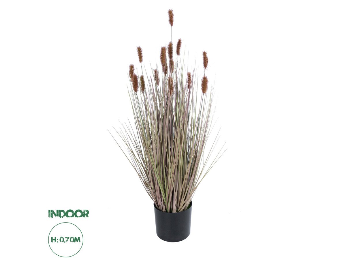 GloboStar® Artificial Garden BROWN LAGURUS 21099 Διακοσμητικό Φυτό Καφέ Λαγοουρά Υ70cm