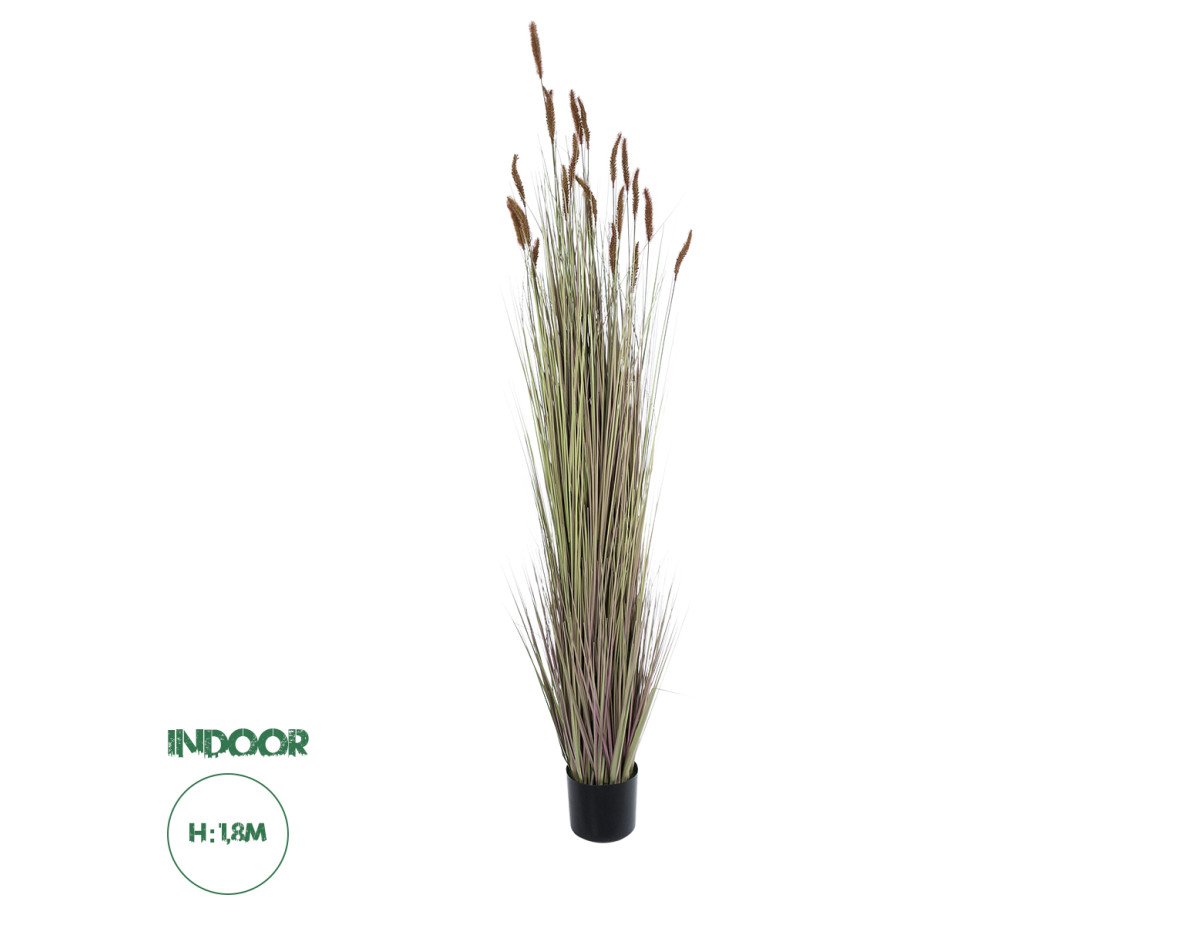 GloboStar® Artificial Garden BROWN LAGURUS 21103 Διακοσμητικό Φυτό Καφέ Λαγοουρά Υ180cm