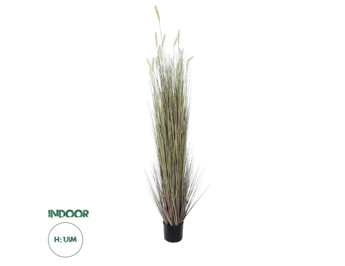 GloboStar® Artificial Garden BEIGE LAGURUS 21104 Διακοσμητικό Φυτό Μπεζ Λαγοουρά Υ180cm