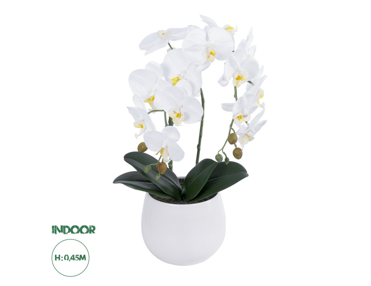 GloboStar® Artificial Garden WHITE ORCHID 21117 Διακοσμητικό Φυτό Λευκή Ορχιδέα Υ45cm