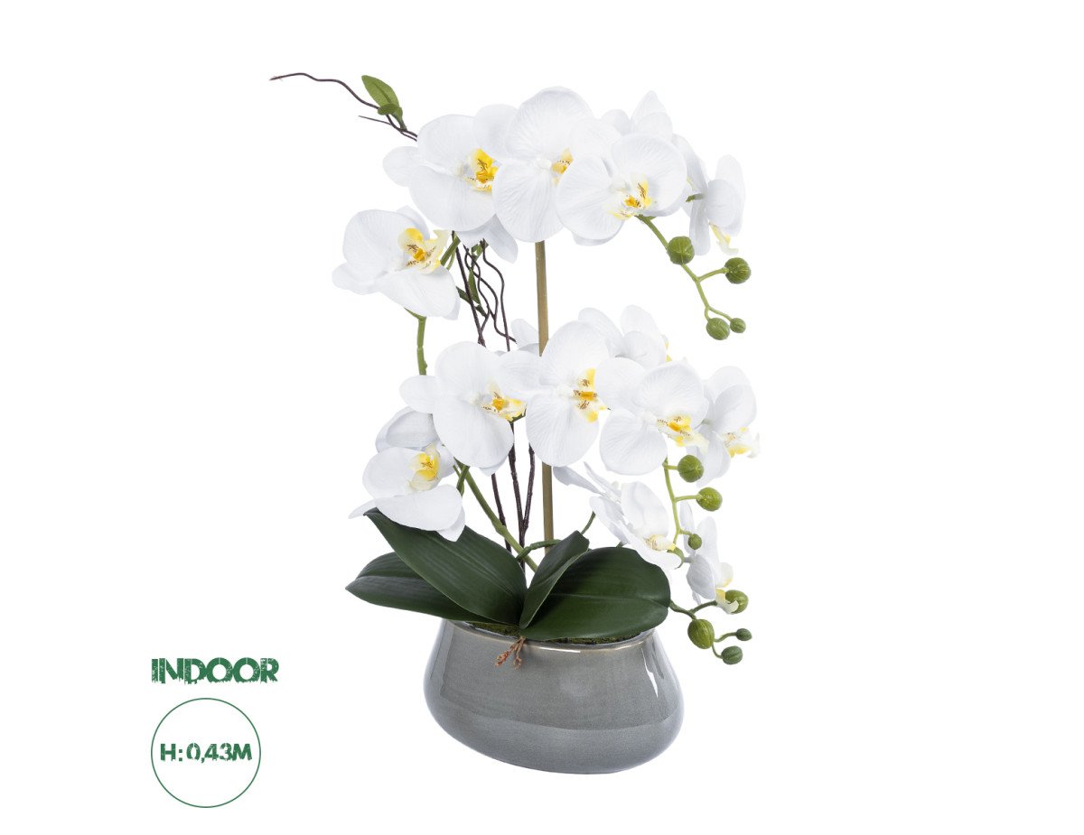 GloboStar® Artificial Garden WHITE ORCHID 21120 Διακοσμητικό Φυτό Λευκή Ορχιδέα Υ43cm