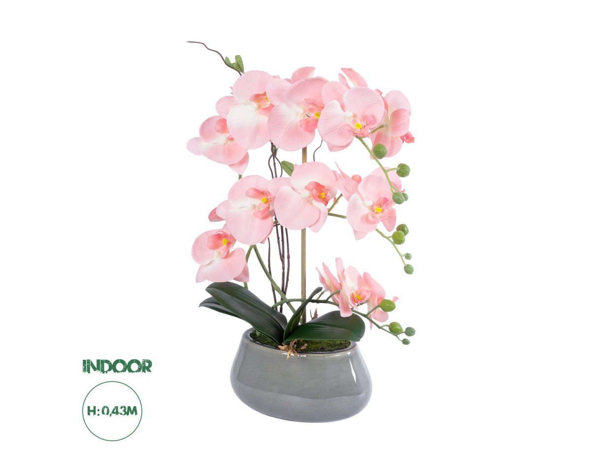 GloboStar® Artificial Garden SALMON PINK ORCHID 21122 Διακοσμητικό Φυτό Ροζ-Πορτοκαλί Ορχιδέα Υ43cm