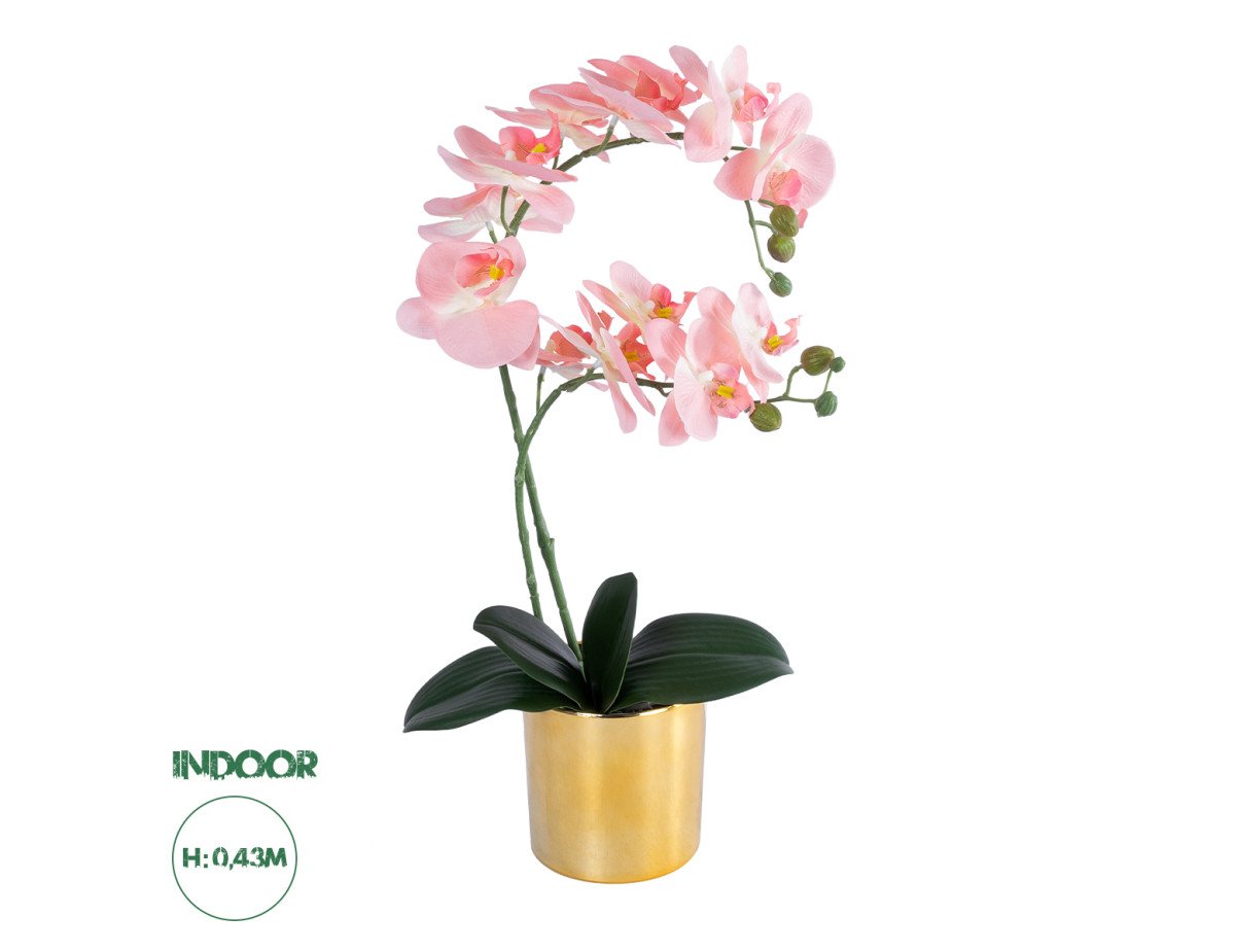 GloboStar® Artificial Garden SALMON PINK ORCHID 21129 Διακοσμητικό Φυτό Φούξια Ορχιδέα Υ43cm