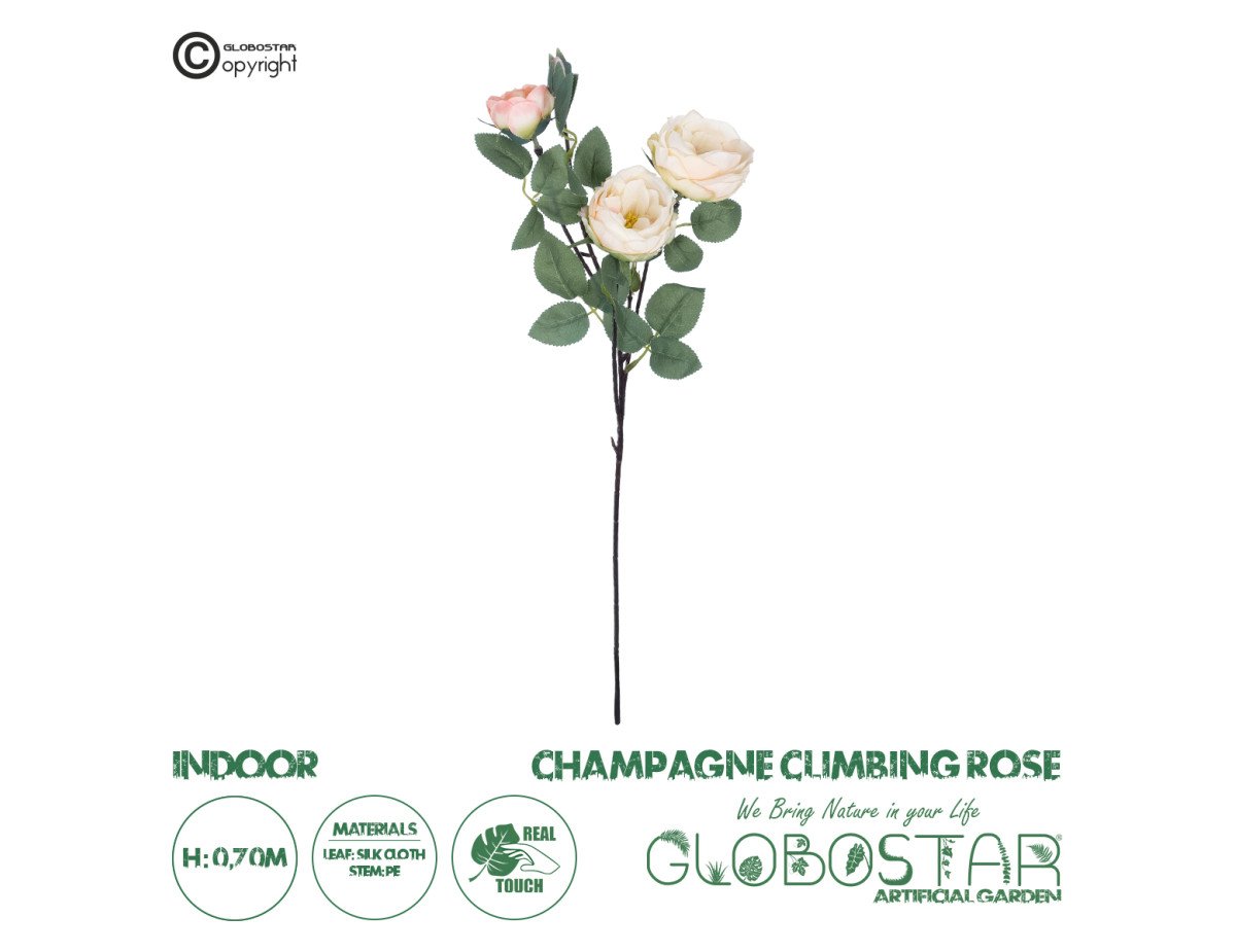 GloboStar® Artificial Garden CHAMPAGNE CLIMBING ROSE BRANCH 21183 Τεχνητό Διακοσμητικό Κλαδί Τριαντάφυλλο Σαμπανιζέ Y70cm