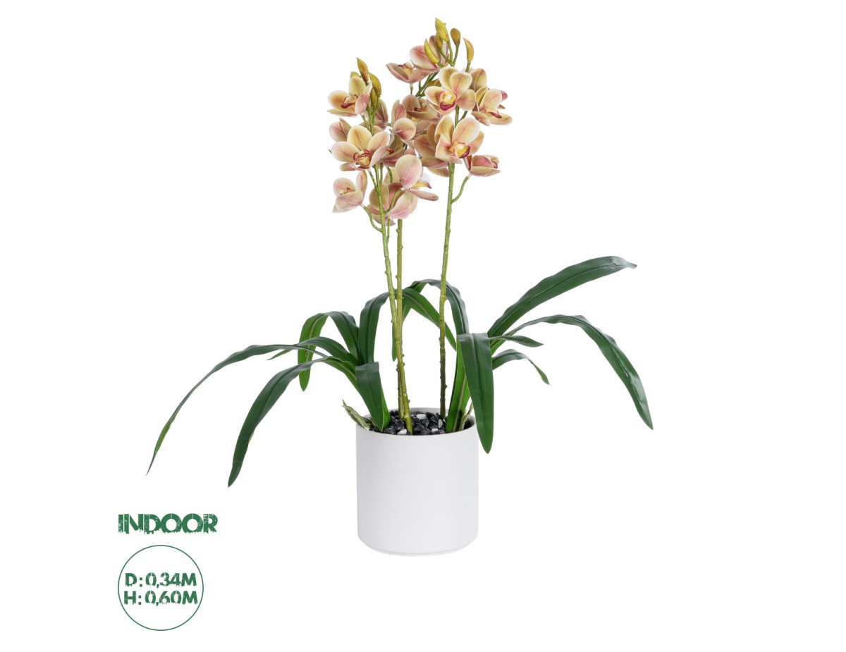 GloboStar® Artificial Garden CHAMPAGNE CHERRY CYMBIDIUM 21404 Διακοσμητικό Φυτό Σαμπανιζέ Κυμβίδιο Υ60cm