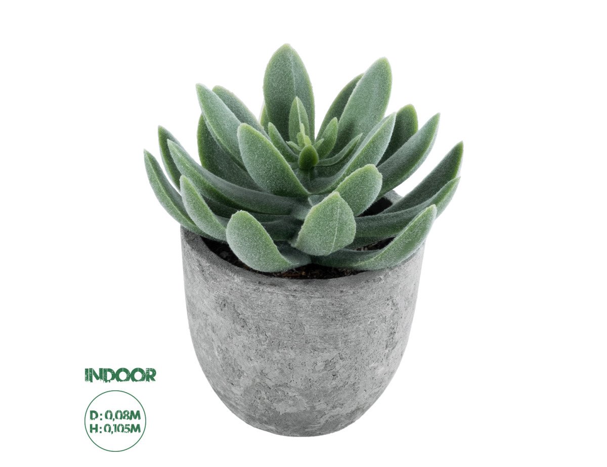 GloboStar® Artificial Garden SUCCULENT SEDEVERIA 21025 Διακοσμητικό Φυτό Παχύφυτο Σεντεβέρια Υ10.5cm